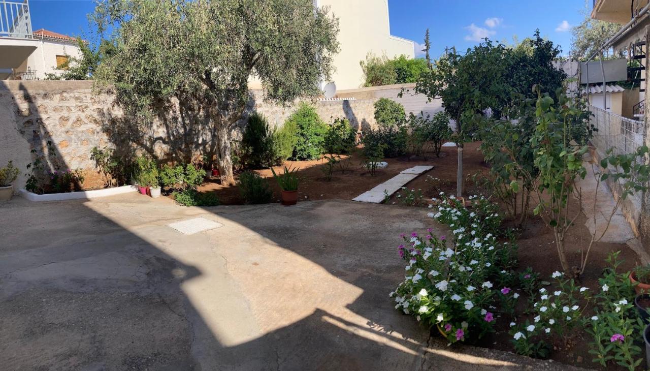 Olga'S Place سبيتسيس المظهر الخارجي الصورة