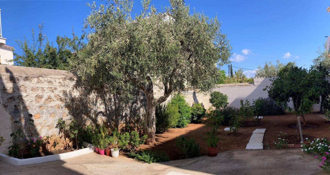 Olga'S Place سبيتسيس المظهر الخارجي الصورة